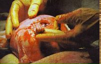 Вадік Bondarovski фотография #19 (источник - https://vk.com/id23080740)