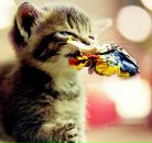 Фотография Несмеловой Наталии