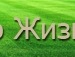 Діма Вигоняйло фотография #8 (источник - https://vk.com/id69804750)
