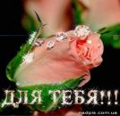 Віта Ковалець фотография #30 (источник - https://vk.com/id136004333)