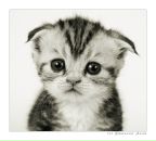 Фотография Good Антона