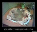 Віктор Коротич фотография #17 (источник - https://vk.com/id7982554)