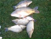 Діма Потерайко фотография #10 (источник - https://vk.com/id63621534)