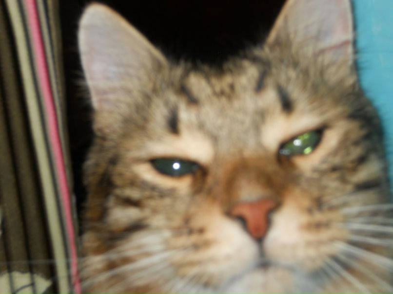 Рустам Акаев фотография #2