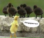 Ірина Федоренко фотография #14 (источник - https://vk.com/id19467268)