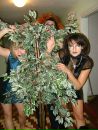 Юлічка Галецька фотография #21 (источник - https://vk.com/id158964821)