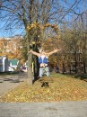 Фотография Белецкой Алёнки
