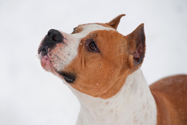 Дмитрий Федоров фотография #31