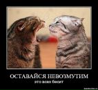 Фотография Орловой Наталии