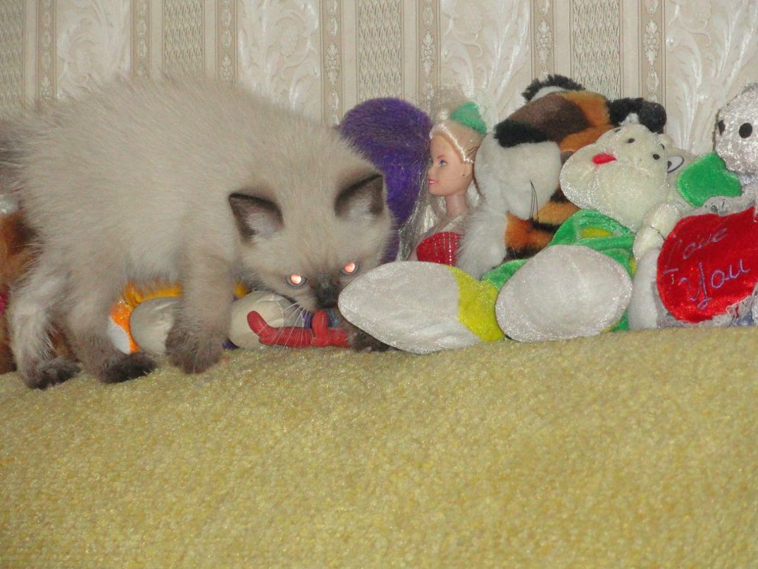 Стас Олейник фотография #45