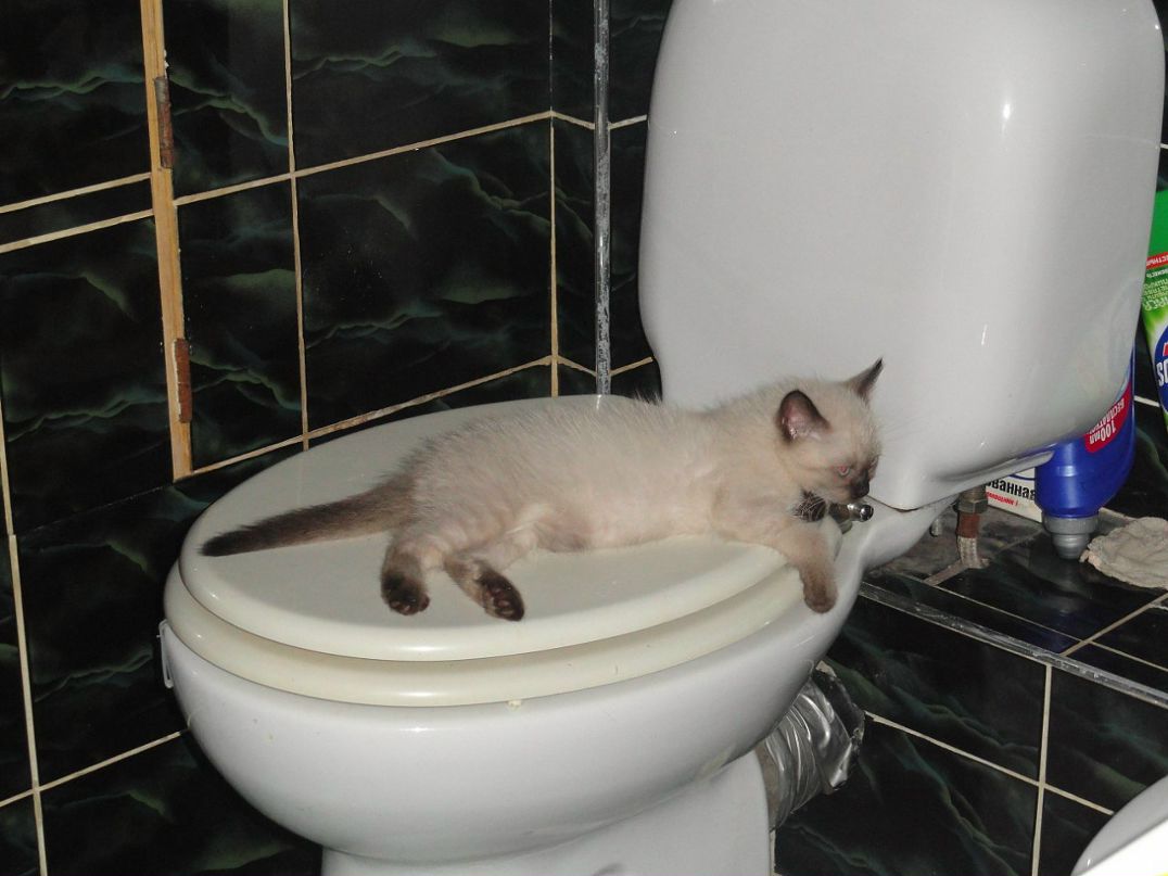 Стас Олейник фотография #37