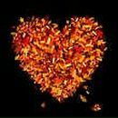 Сергій Юхта фотография #1