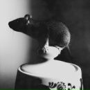 Сніжка Карабін фотография #5 (источник - https://vk.com/id27600676)