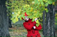 Фотография  