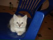 Янчик Ігор фотография #18 (источник - https://vk.com/id13336003)