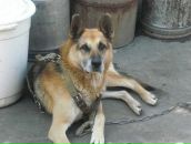 Діма Левківський фотография #29 (источник - https://vk.com/id32786002)