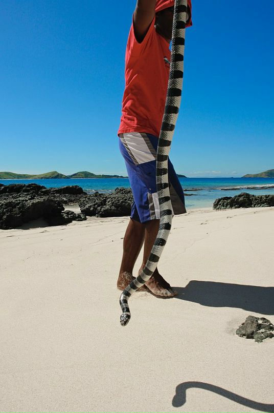 Антон Феев фотография #14