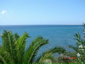 Фотография Твердохлебовой Ирины