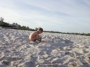 Інна Дiямiнова фотография #27 (источник - https://vk.com/id133464070)
