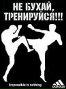 Фотография Лесникова Александра