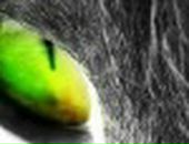 Андрій Чудик фотография #37 (источник - https://vk.com/id90454675)