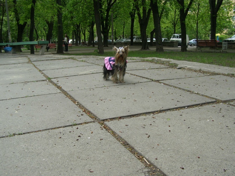 Людмила Беляк фотография #42