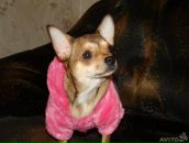 Фотография Пашниковой Аллы