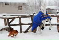 Фотография Воронцовой Александры