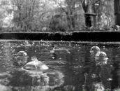 Фотография Терентьевой Натальи