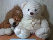 Фотография Строганова Валерия