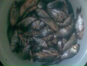 Сергій Кондуфор фотография #50 (источник - https://vk.com/id115435502)