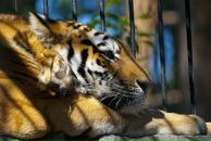 Фотография Ермолиной Анны