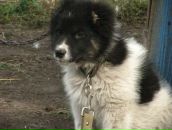 Фотография Миселева Максима