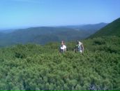 Віктор Гутак фотография #19 (источник - https://vk.com/id119080217)