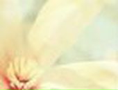 Наталія Микита фотография #19 (источник - https://vk.com/id5719502)