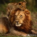 Валентин Пінчук фотография #1