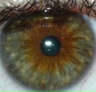 Фотография Кононенко Ленки