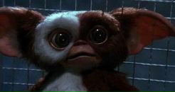 Фотография Абрамовой Юлии