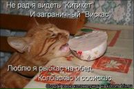 Вікторія Козловська фотография #19 (источник - https://vk.com/id153408278)