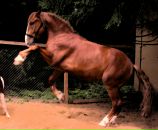 Фотография Кириной Веры