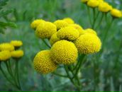 Фотография Фрухта Михаила