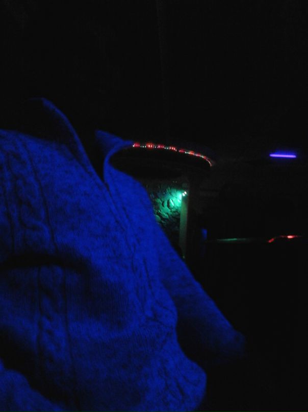 Дмитрий Садыков фотография #44