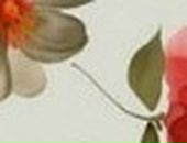 Маша Петрова фотография #17 (источник - https://vk.com/id405203)