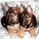 Ілля Туряниця фотография #36 (источник - https://vk.com/id54396292)