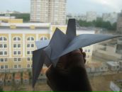 Фотография Барашковой Юлии