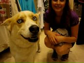 Фотография Erkin Marina