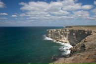 Діма Білецький фотография #6 (источник - https://vk.com/id166778264)