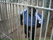 Іванна Красько фотография #39 (источник - https://vk.com/id28605971)