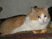 Фотография Москвиной Анны