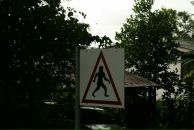 Фотография Черняка Игоря